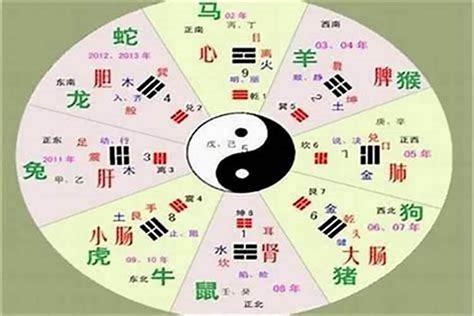 世字五行|五行汉字属性查询